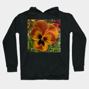 Yellow, Orange, and Red Mailbox Flowers 2 Hoodie